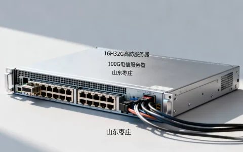 虎跃云16H32G高防服务器多少钱？山东枣庄100G电信服务器租用价格