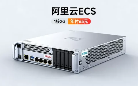 阿里云1核2G服务器年付65元值得买吗，阿里云服务器ECS年终特惠