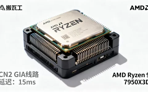 搬瓦工升级AMD处理器好吗？搬瓦工CN2 GIA线路评测