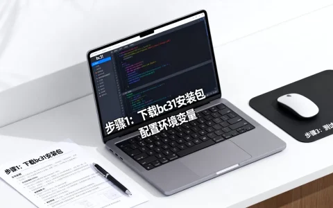 bc31集成开发环境怎么搭建？c语言开发环境配置教程