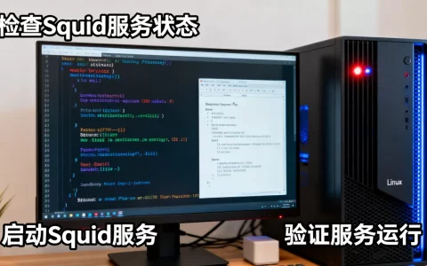 Linux如何启动Squid？Linux启动Squid代理服务器详细步骤
