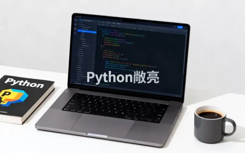 Python敞亮是什么意思？Python敞亮用法详解