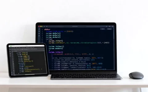 python stdscr怎么用？python curses模块常用函数详解