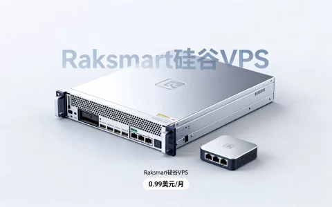 Raksmart硅谷VPS真香吗？0.99美元月付VPS推荐