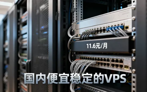 VMISS多机房VPS低至11.6元/月吗？国内便宜稳定的VPS推荐