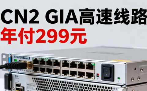 AkkoCloud美国圣何塞VPS年付299元值得买吗，CN2 GIA高速线路评测
