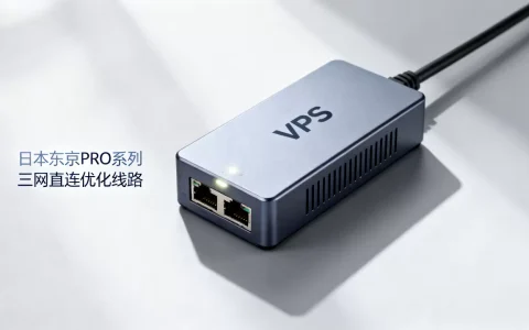 日本东京PRO系列VPS好用吗？VPS三网直连优化线路推荐