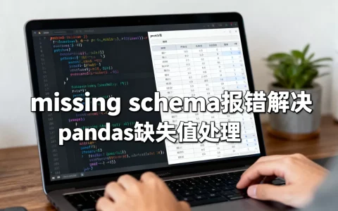 python missing schema报错如何解决？pandas缺失值处理技巧