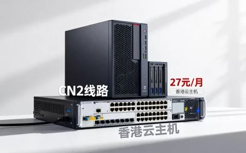 华纳云CN2香港云27元/月值得买吗，华纳云香港云主机测评