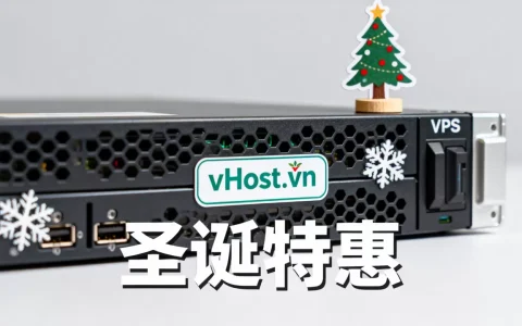 vHost.vn圣诞优惠力度大吗？越南VPS主机推荐