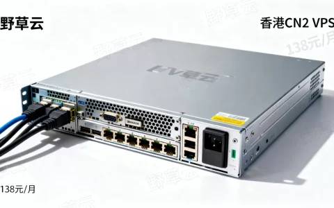 野草云香港CN2 VPS低至138元月值得入手吗？