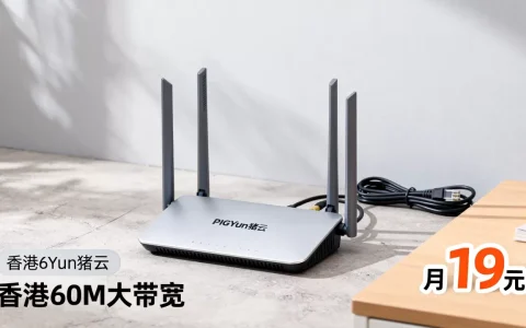 PIGYun猪云元旦优惠多少？香港60M大带宽月19元