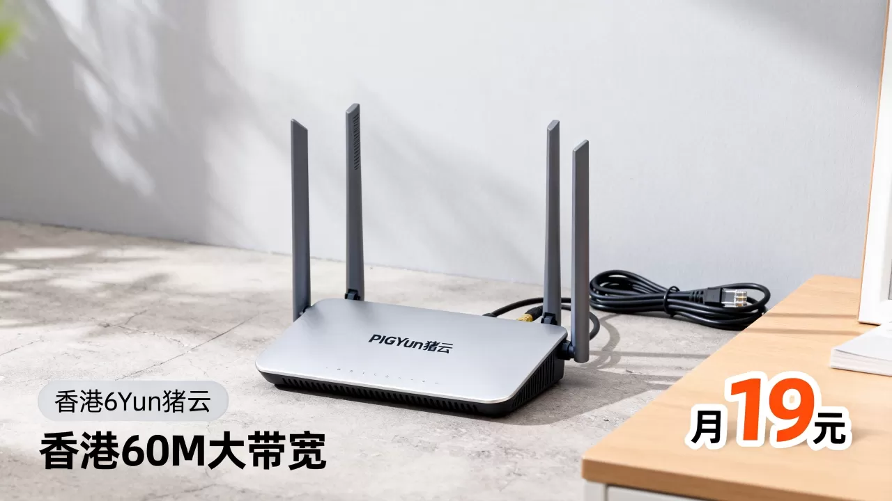 PIGYun猪云元旦优惠多少？香港60M大带宽月19元