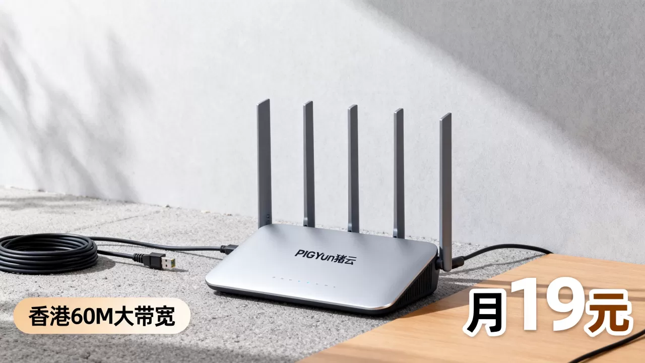 PIGYun猪云元旦优惠多少？香港60M大带宽月19元