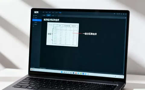 BZR拉对BZR合并是什么？一级分区表合并分区怎么操作