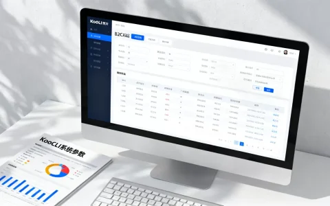 B2C网站系统包括哪些？KooCLI系统参数包括哪些