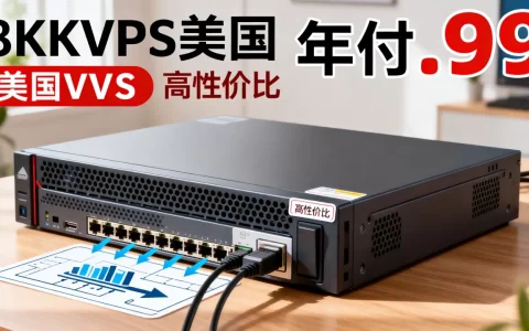 CloudCone美国VPS年付$12.99值得买吗，高性价比美国VPS推荐