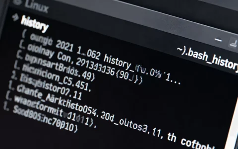 linux history文件在哪？linux history命令记录怎么查看