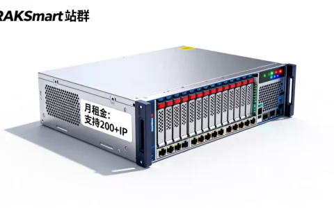 RAKsmart站群服务器多少钱？RAKsmart站群服务器租用价格