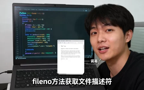 python中fileno是什么？python的fileno方法怎么用
