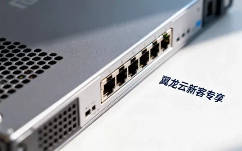 双11云服务器怎么买最划算？翼龙云新客专享神价