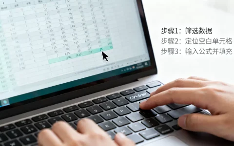 Excel筛选后如何自动填充？筛选后数据怎么快速填充