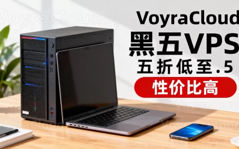 VoyraCloud黑五VPS五折低至$2.5值得买吗，黑五VPS哪家性价比高