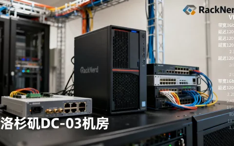 RackNerd黑五VPS值得买吗？洛杉矶DC-03机房测评