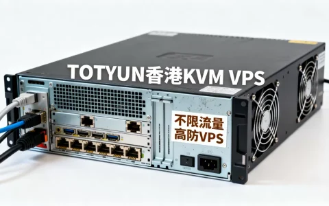 TOTYUN香港KVM VPS不限流量真的稳吗？香港高防VPS推荐