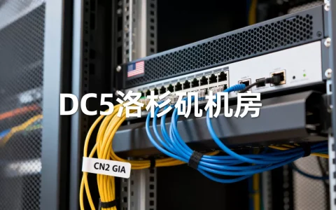 搬瓦工DC5洛杉矶机房怎么样？美国服务器CN2 GIA线路推荐