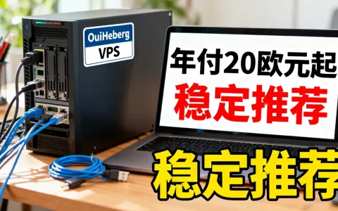 OuiHeberg VPS年付20欧元起好吗？VPS服务器推荐哪家稳定