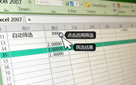 Excel 2007自动筛选怎么用？如何快速筛选数据