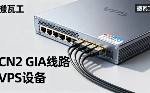 搬瓦工CN2 GIA线路真的快吗？搬瓦工VPS性价比怎么样