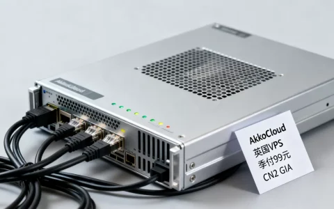 AkkoCloud英国VPS季付99元值得买吗，英国CN2 GIA VPS推荐