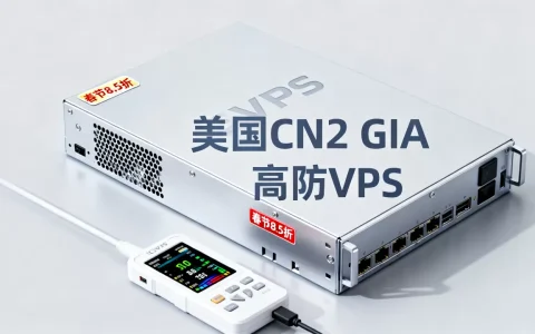 GigsGigsCloud春节VPS8.5折值得买吗，美国CN2 GIA高防VPS推荐