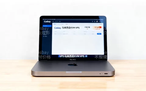 Casbay马来西亚KVM VPS不限流量是真的吗？Mac mini M4 VPS月付多少钱