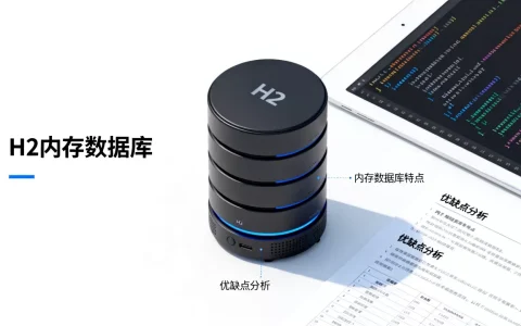 什么是H2内存数据库？H2内存数据库优缺点有哪些