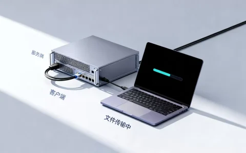 服务器怎么获取客户端文件？服务端主动拉取客户端文件的实现方法