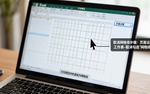 Excel打印预览出现虚线是什么原因？如何取消打印网格线