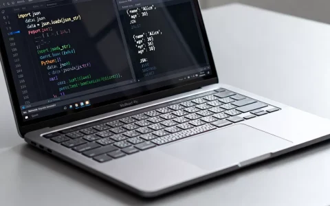 Python如何接收数据？python接收json数据