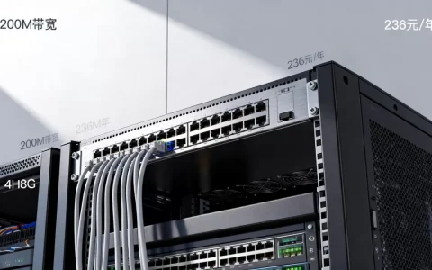 华纳云香港200M带宽236元/年值得买吗？美国CN2云服务器4H8G续费同价