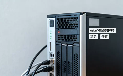 AsiaVM新加坡VPS好用吗，新加坡VPS哪家稳定便宜