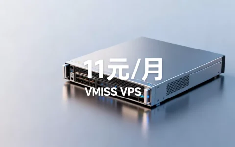 VMISS VPS真的便宜吗？11元一月便宜VPS推荐