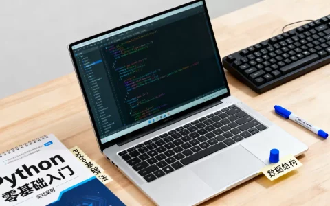 Python创什么最赚钱？Python零基础入门教程