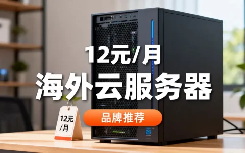 海外云服务器低至12元/月是真的吗？海外云服务器哪个牌子好