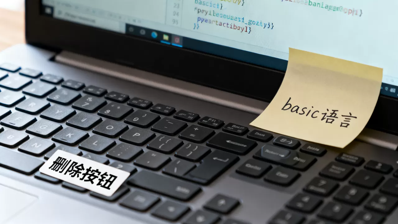 basic语言是什么意思？删除按钮是什么意思