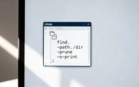 linux find prune怎么用？find命令排除目录搜索