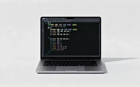 linux磁盘总量怎么看？linux查看磁盘剩余空间命令