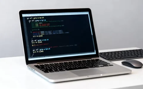 如何终止Linux脚本运行？linux kill进程命令详解