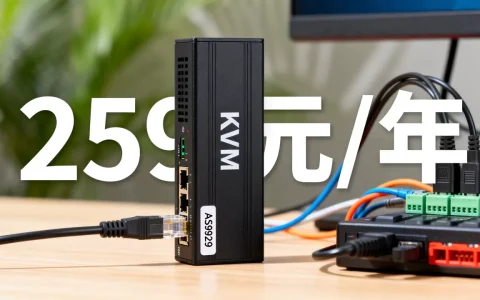 二月极光KVM年付259元值得买吗？洛杉矶AS9929线路测评